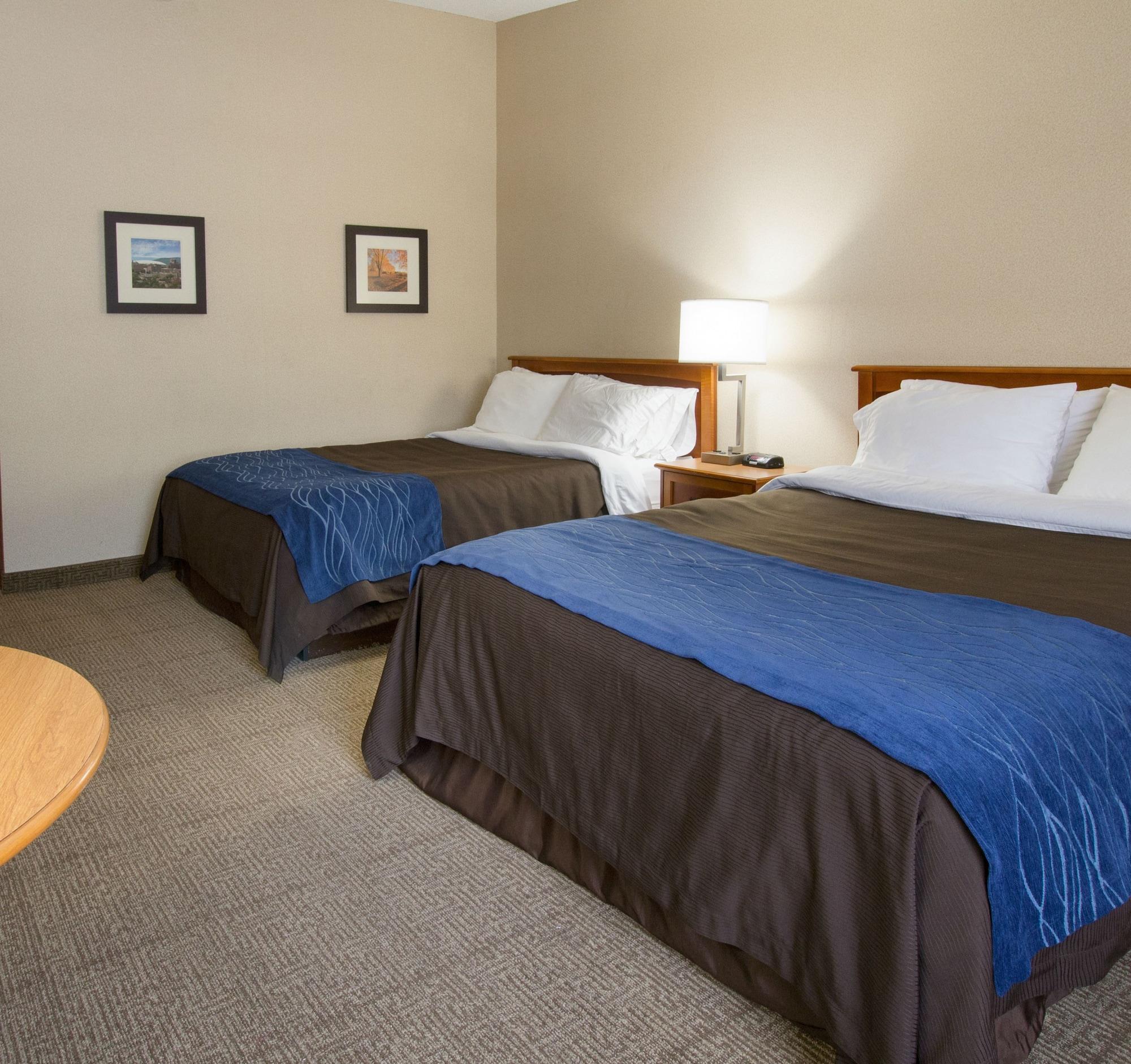 Comfort Inn & Suites Syracuse-Carrier Circle East Syracuse Eksteriør billede