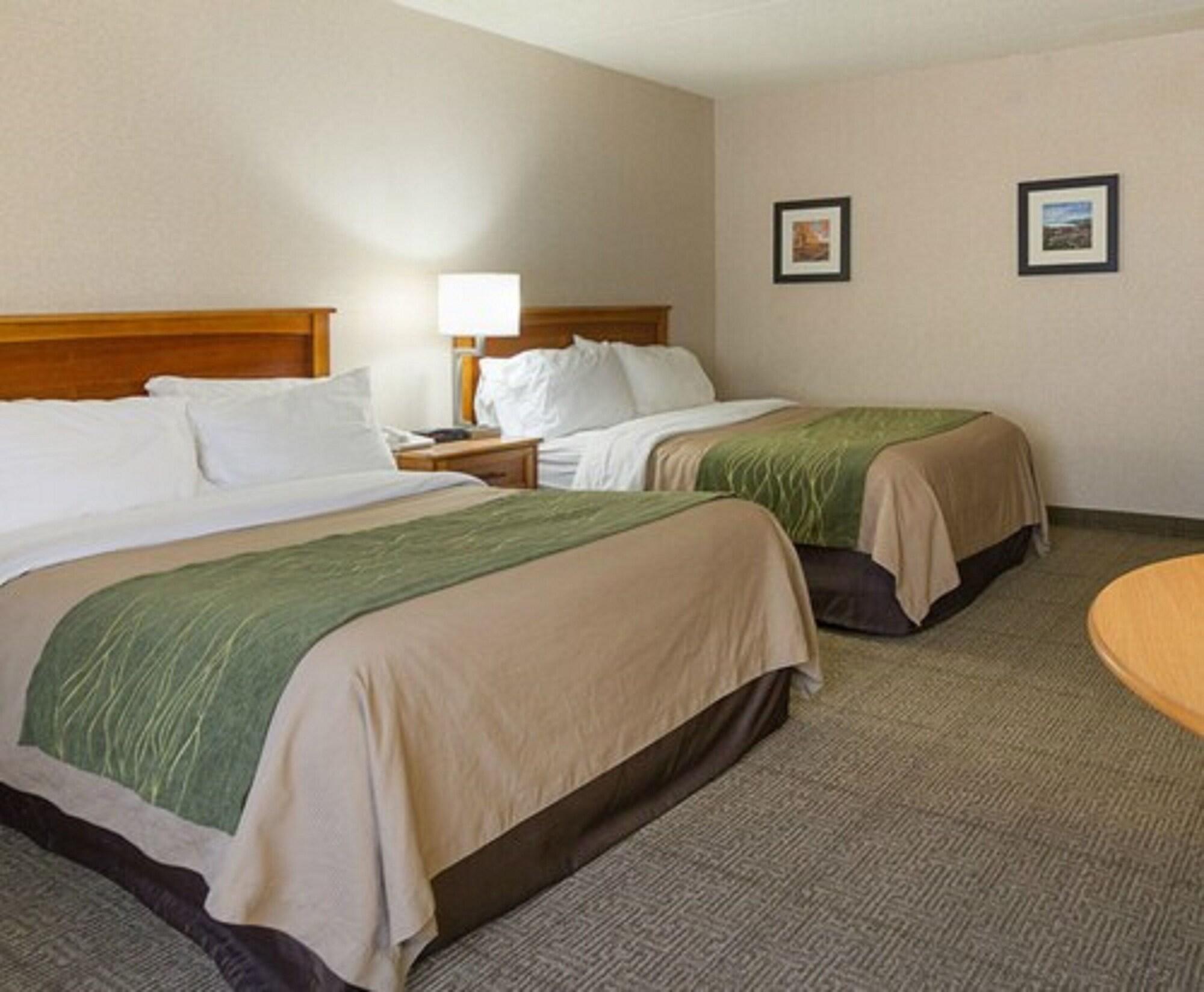 Comfort Inn & Suites Syracuse-Carrier Circle East Syracuse Eksteriør billede