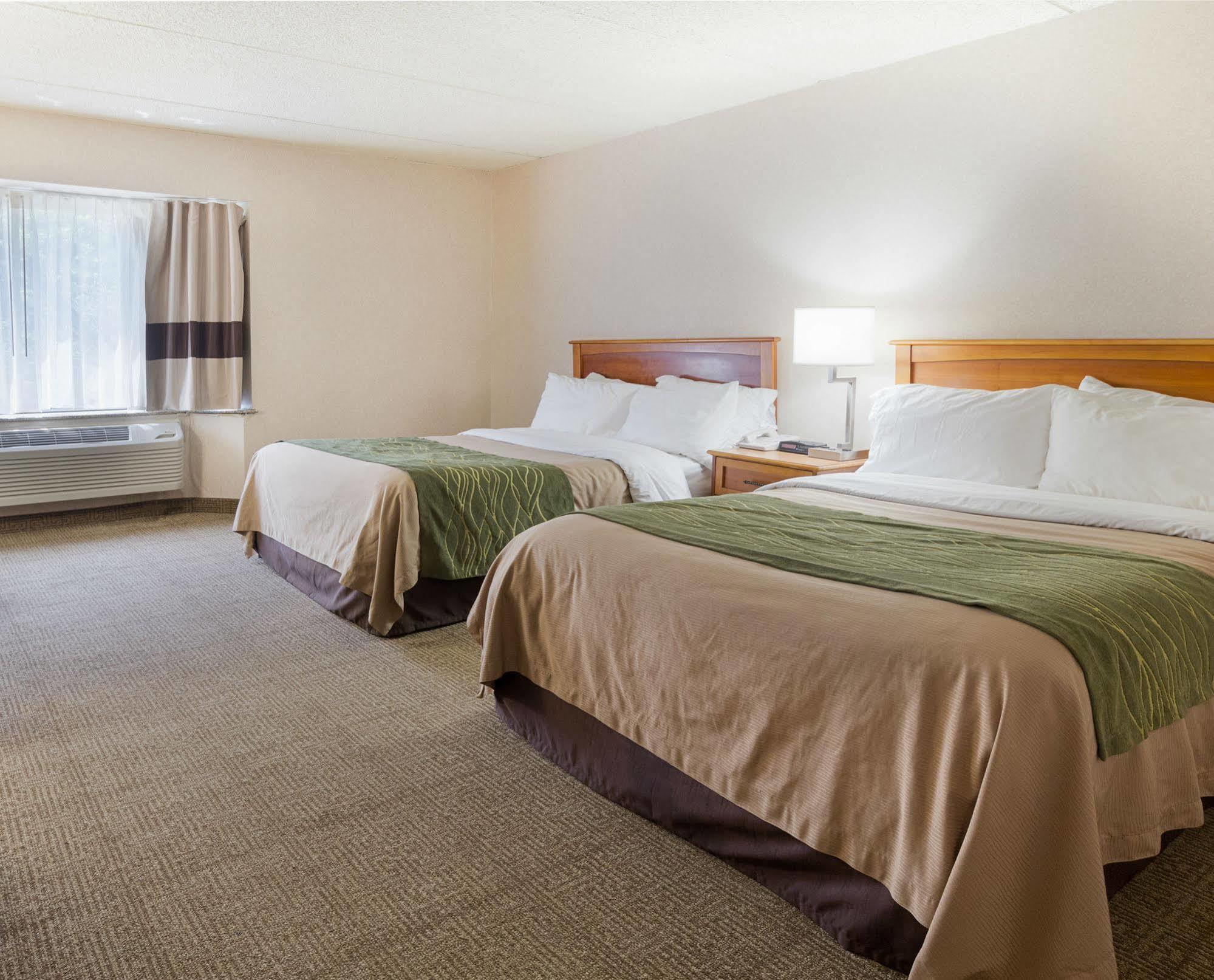 Comfort Inn & Suites Syracuse-Carrier Circle East Syracuse Eksteriør billede